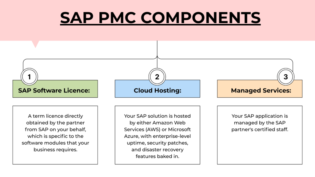 SAP Partner Managed Cloud components diagram showing SAP software licence, cloud hosting on Microsoft Azure, and managed services by certified SAP partners.